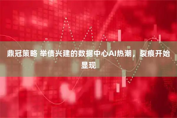 鼎冠策略 举债兴建的数据中心AI热潮，裂痕开始显现