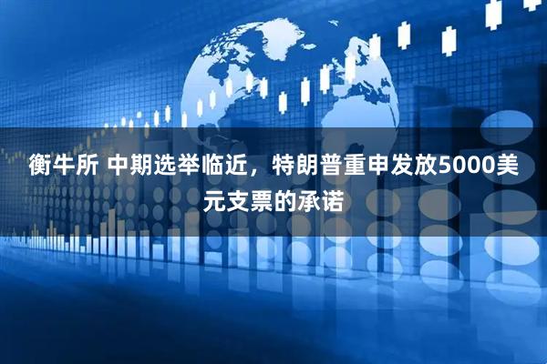 衡牛所 中期选举临近，特朗普重申发放5000美元支票的承诺