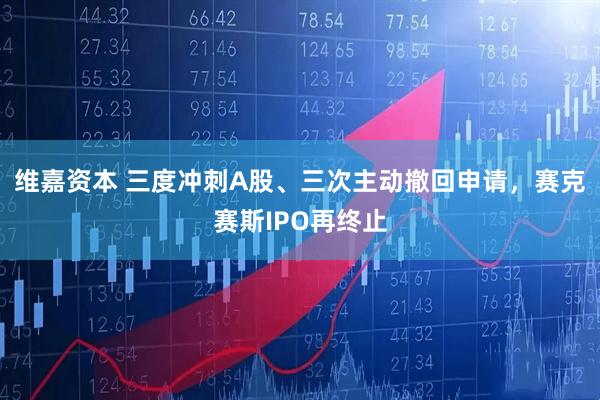 维嘉资本 三度冲刺A股、三次主动撤回申请，赛克赛斯IPO再终止