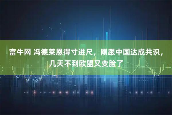 富牛网 冯德莱恩得寸进尺，刚跟中国达成共识，几天不到欧盟又变脸了